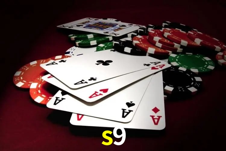 Programa VIP s9